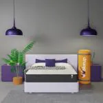 Wakeup India Luxuriate Orthopedic Hybrid Memory Foam Pocket Spring Mattress (84x30x8 inch)- 8 inch Single High Resilience (HR) Foam Mattress (L x W: 84 inch x 30 inch)