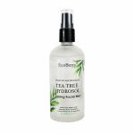 EcoBerry Pure Steam Distilled TeaTree Hydrosol Toning Facial Mist-100ml