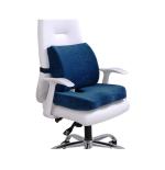 ALANFIT ORTHODESIGN Memory Foam Combo of Memory Foam Orthopedic Lumbar Back Pain Rest & Coccyx seat Cushion, Ergonomic, Lower Back and Coccyx Support, Premium Washable Covers,l1 l2 l3 l4 l5 Support Cushions COMB-BLK72