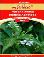 SENECIO Vasaka, Adusa, Justicia Adhatoda, ArdusiMalabar Nut, Ayurvedic Medicinal Herb Plant Seed - 10 Per Packet