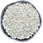 APLENTY Fresh Peppermint Coated Fennel Seeds | Thandi/Thhandai Sounf | White Fennel Seeds/Meethi Saunf/Mukhwas/Madrasi Sauf Mouthfreshner (400 g)