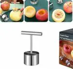 R T ENTERPRISE Apple Corer Tool Stainless Steel Multifunction Apple Pear Core Separator Kitchen Tool Easy to Use Durable Apple Corer Remover Fruit Corer for Pears Apples Pineapple, etc (Pack of 1)