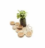 Bio Blooms Agro Coir Seedling Coins Cocopeat Disc, Plant Starter Plugs 42 mm (100 pcs)