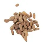 Xetomos Kanchan Beej Kanchan Seed champak Michelia Champaca 100g. Other names are Michelia Champaca, Beej Kanchan, Beej Kanchan kanchan, seeds, michelia, champaca