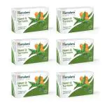 Himalaya Neem & Turmeric Soap 75g (Pack Of 6)