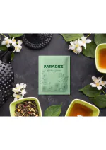 Air Pocket Deodorizer Air Freshener 10g - Pack of 6