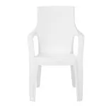 NILKAMAL PLASTIC CHAIR ROSA MILKY WHITE COLOUR (SET OF 2)