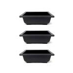 Kyaaro Black Plastic Bonsai Pots (Pack Of 3)