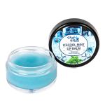 Pink Plums Ice Cool Mint Non-Tinted Lip Balm, 15 Ml