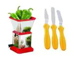 First Front Stainless Steel Chilly Cutter Cutter With 3 Pcs Pallet Knife Set and (Multicolour, Pack of 2)