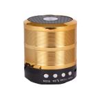 BBOSS Bluetooth Speaker WS 887 with FM Radio, Memory Card Slot, USB Pen Drive Slot, AUX Input Mode, Compatible with All Devices (Gold)