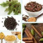 Vi Vethan Thalisathi (thalisathi chooranam) powder 100gm