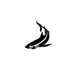 SIMPLY INKED Tribal Shark Temporary Tattoo, Designer Tattoo for all (Tribal Shark Tattoo)