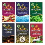 PUFF SMART Premium Hookah Flavors Pan Ras, Brain-O-Freeze, Mint, Misbah, Commissioner, Pan Kiwi Mint 50g Each (Pack of 6) (100% Nicotine and Tobacco Free)