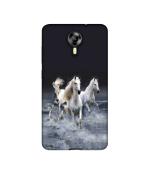 Casotec Mystic Horse Design Printed Silicon Soft TPU Back Case Cover for Micromax Canvas Xpress 2 E313