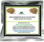MGBN THE PATH FOR THE HEALTHIER LIFE WITH BEAUTY Aegle Marmelos, Bilva, Vilvam Seeds 5 g (40 Seeds per packet) (with Free Plant Seeds)