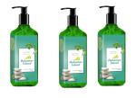 SORTH LUXURIOUS Bahamas Island Gel Hand Wash | Germ Protection - 250 ML | Pack Of 3