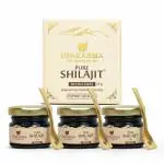 UPAKARMA Ayurveda Original and Pure Shilajit/Shilajeet Resin Form - 20g (Pack of 3)