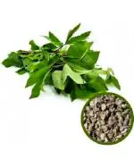 Master Green Organic Sorrel Leaves Spinach Seeds (100 Per Packet)