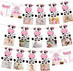 Festiko Holy Cow 12 Month Photo Pink Banner, Cow Birthday Banner Decorations, Holy Cow I'm One Birthday Decorations