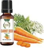botanic garden Carrot Seed/Daucus Carota For Water retention,Urinary tract infections,Eczema, psoriasis, acne, uneven skin tone/Undiluted 100% Pure Essential Oil (100 ml)
