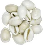 DVM Handmade Pooja Cyan Spritual Festive Decor & Gifting