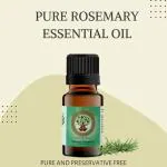 ANCIENT SOUK Natural and Pure Essential Oil for Skin care Rose Mary 6.8 x 2.3 x 6.8 cm