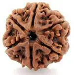 Feeltouchmart Brown Wood 6 Mukhi Rudraksha Beads Hgj00-1001-2262