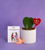 UGAOO Love Bug Valentine Gift Combo (Heart Hoya Green Plant With White Ceramic Pot, Acrylic Plant Message Pop, Customisable Message Card)