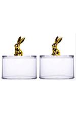 Homies Transparent Acrylic Mason Jars Canister with Golden Bunny Rabbit Lids, 12.5x7.5 cm Set of 2
