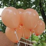 Grand Shop Peach Rubber Party Decoration Balloons