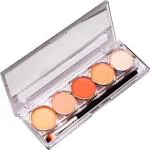 Mars 5 Color Contour Concealing Shading Powder Concealer Palette