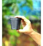 EARATAGROPOTS with Nature 2.5 inch Black Plastic Nursery Seedling Germinating Square Pots Small Cup (250)