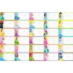 Visual Creation 12 cm Note book sticker for Kids - Princess Series (Count 30) Non-Reusable Sticker (Pack of 1)