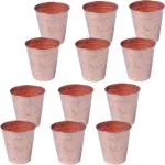 Shivshakti Arts (Pack of 12) CG-112-12 Glass Set Water/Juice Glass (500 ml, Copper, Brown)