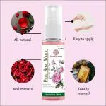 Soundarya Herbs Gulabari Premium Rose Water with No Paraben for Cleansing and Toning,100 ml