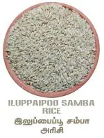 Innum Konjam - Iluppaipoo Samba Rice 1KG