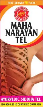 YOGIRAJ MAHANARAYAN OIL 100 ML