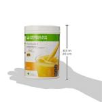 HERBALIFE NUTRITION Formula One Shake Mix 500Gm Mango Flavour