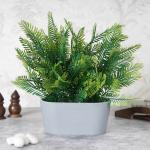 Elemntl Fern Plant Bush in Grey Tray