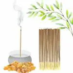 Gaumayam Herbal Incense Sticks for puja Having 120 loban agarbatti - Monthly Saver Pack