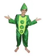 Kaku Fancy Dresses Vegetable Costume for Boys & Girls