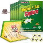 TruVeli Catch Mouse Rat Glue Traps (Pack Of 5)