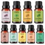 Essentia Extracts Combo of Eucalyptus, Lemongrass, Tea Tree, Lavender, Peppermint, Clove, Sweet Orange, Bergamot and Ylang Ylang Essential Oil, 135ML (9*15ML)