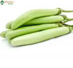 Splendour Seeds Brinjal Green long vegetable seeds