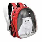 BURAQ Astronaut Space Transparent Capsule Breathable Airline-Approved, Ventilate Transparent Carrier Backpack for Travel, Hiking and Outdoor for Puppies & Cats