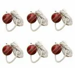 SUNLEY Hanging Cricket Ball | Leather Practice Cricket Ball with Rope