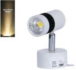 OTS Lights 9 Watt Warm White(Yellow) Led Wall Light for Focusing Wall or Photo Frame (Pack of 1)