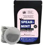 Organic Spearmint Tea Bags for PCOS - 40 Eco-Friendly Tea Bags in Resealable pouch by The Tea Trove