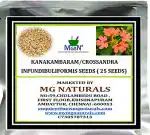 MGBN THE PATH FOR THE HEALTHIER LIFE WITH BEAUTY Kanakambaram, Crossandra Infundibuliformis Seeds (25 Seeds)